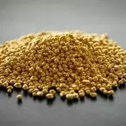 Dried grains